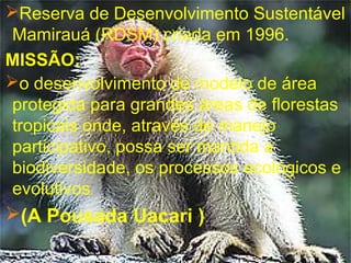 Bibliografia:
http://www.invivo.fiocruz.br/cgi/cgilua.exe/sys/start.htm
?infoid=958&sid=2
http://www.amazonia.org.br/gui...