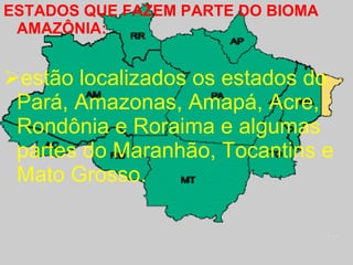 Slide Bioma Amazonia Para O Dia 02 De Outubro | PPT