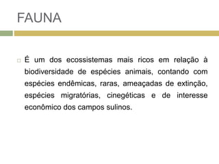 FAUNA
 É um dos ecossistemas mais ricos em relação à
biodiversidade de espécies animais, contando com
espécies endêmicas, raras, ameaçadas de extinção,
espécies migratórias, cinegéticas e de interesse
econômico dos campos sulinos.
 