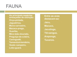 FAUNA
As principais espécies
ameaçadas de extinção:
 Onça-pintada,
 Jaguatirica,
 Mono-carvoeiro,
 Macaco-prego,
 Guariba,
 Mico-leão-dourado,
 Preguiça-de-coleira,
 Caxinguelê,
 Tamanduá-bandeira,
 Veado campeiro,
 Lobo-guará.
Entre as aves
destacam-se:
 Jacu,
 Macuco,
 Jacutinga,
 Tiê-sangue,
 Araponga,
 Tucanos.
 