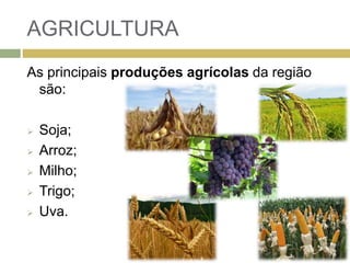 AGRICULTURA
As principais produções agrícolas da região
são:
 Soja;
 Arroz;
 Milho;
 Trigo;
 Uva.
 