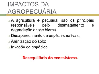 IMPACTOS DA
AGROPECUÁRIA
 A agricultura e pecuária, são os principais
responsáveis pelo desmatamento e
degradação desse bioma.
 Desaparecimento de espécies nativas;
 Arenização do solo;
 Invasão de espécies.
Desequilíbrio do ecossistema.
 