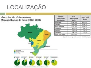 LOCALIZAÇÃO
•Reconhecido oficialmente no
Mapa de Biomas do Brasil (IBGE 2004)
 