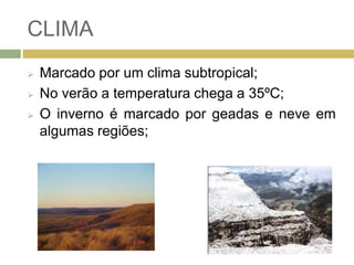 CLIMA
 Marcado por um clima subtropical;
 No verão a temperatura chega a 35ºC;
 O inverno é marcado por geadas e neve em
algumas regiões;
 