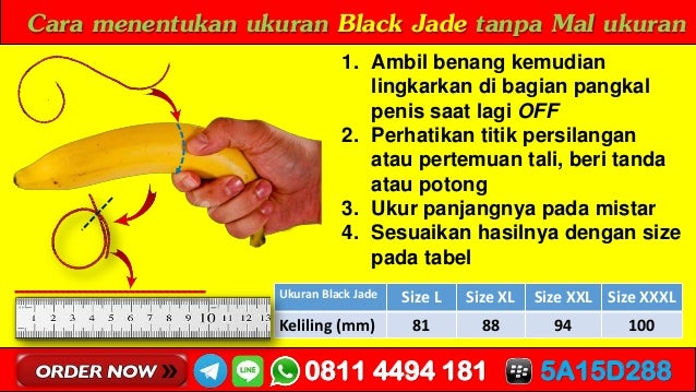 WA 08114494181 Gambar Terapi Ejakulasi Dini Energy Black Jade
