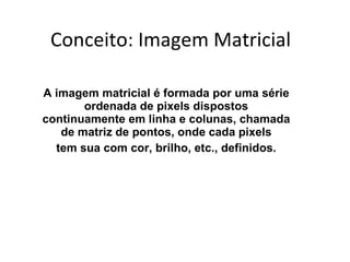 Conceito: Imagem Matricial A imagem matricial é formada por uma série ordenada de pixels dispostos continuamente em linha e colunas, chamada de matriz de pontos, onde cada pixels tem sua com cor, brilho, etc., definidos. 