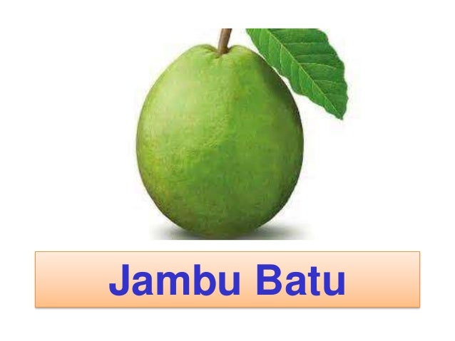 Slide Buah Buahan Tempatan