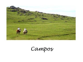 Campos
 