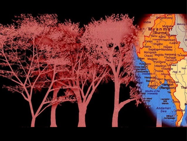 International Tropical Timber Agreement 1983, 1994 PPT