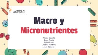 Macro y
Micronutrientes
Nicole Castillo
Enzo Dorta
Mikel Irizar
Cristina Martínez
José Reinoso
 