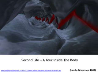 Second Life – A Tour Inside The Body(Lambe & Johnson, 2009)http://www.massively.com/2008/02/18/a-tour-around-the-testis-education-in-second-life/