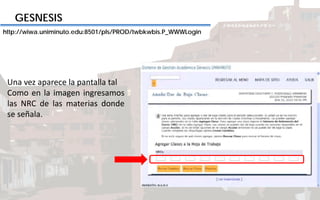 GESNESIS
http://wiwa.uniminuto.edu:8501/pls/PROD/twbkwbis.P_WWWLogin
Una vez aparece la pantalla tal
Como en la imagen ingresamos
las NRC de las materias donde
se señala.
 