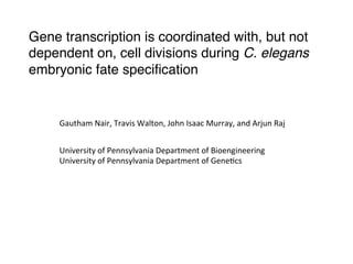 Gene transcription is coordinated with, but not
dependent on, cell divisions during C. elegans
embryonic fate speciﬁcation!
Gautham	
  Nair,	
  Travis	
  Walton,	
  John	
  Isaac	
  Murray,	
  and	
  Arjun	
  Raj	
  
University	
  of	
  Pennsylvania	
  Department	
  of	
  Bioengineering	
  
University	
  of	
  Pennsylvania	
  Department	
  of	
  GeneDcs	
  
 