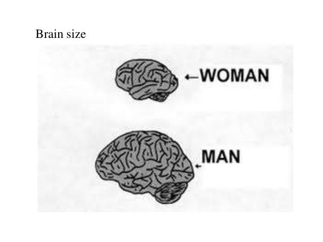slide cct men vs women thinking brain size meme