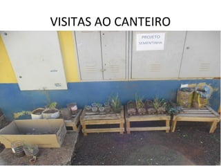 VISITAS AO CANTEIRO
 