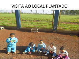 VISITA AO LOCAL PLANTADO
 