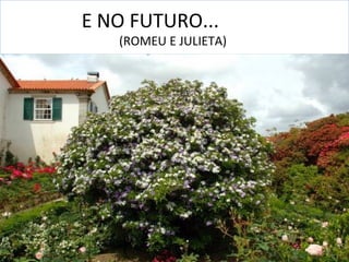 E NO FUTURO...
   (ROMEU E JULIETA)
 
