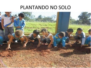 PLANTANDO NO SOLO
 