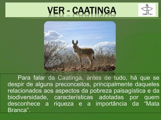 Para falar da Caatinga, antes de tudo, há que se
despir de alguns preconceitos, principalmente daqueles
relacionados aos aspectos da pobreza paisagística e da
biodiversidade, características adotadas por quem
desconhece a riqueza e a importância da “Mata
Branca”.
 
