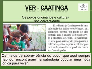 Os meios de sobrevivência do povo, que aqui sempre
habitou, encontraram na sabedoria popular uma nova
lógica para viver.
Os povos originários e cultura-
sociodiversidade
 