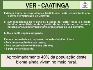 Existem inúmeras comunidades tradicionais nesta convivência com
o clima e a vegetação da Caatinga:
a) 300 associações de “Fecho ou Fundos de Pasto” (esse é o modo
de vida comunitária, onde a gestão da terra e de outros recursos
naturais articulam terrenos familiares e áreas de uso comum).
b) Mais de 30 nações indígenas.
Essas comunidades e os povos que nelas habitam lutam:
- Pela demarcação de suas terras;
- Pelo reconhecimento de seus direitos;
- E pela plena cidadania.
Aproximadamente 40% da população deste
bioma ainda vivem no meio rural.
 