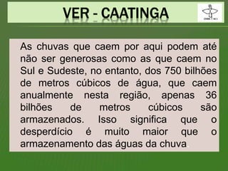 As chuvas que caem por aqui podem até
não ser generosas como as que caem no
Sul e Sudeste, no entanto, dos 750 bilhões
de metros cúbicos de água, que caem
anualmente nesta região, apenas 36
bilhões de metros cúbicos são
armazenados. Isso significa que o
desperdício é muito maior que o
armazenamento das águas da chuva.
 