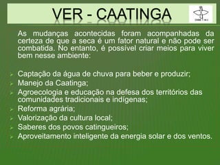 As mudanças acontecidas foram acompanhadas da
certeza de que a seca é um fator natural e não pode ser
combatida. No entanto, é possível criar meios para viver
bem nesse ambiente:
 Captação da água de chuva para beber e produzir;
 Manejo da Caatinga;
 Agroecologia e educação na defesa dos territórios das
comunidades tradicionais e indígenas;
 Reforma agrária;
 Valorização da cultura local;
 Saberes dos povos catingueiros;
 Aproveitamento inteligente da energia solar e dos ventos.
 