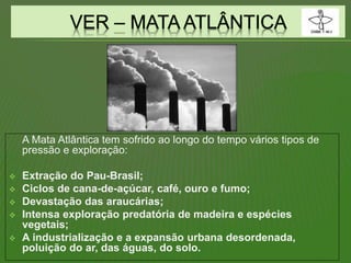 A Mata Atlântica tem sofrido ao longo do tempo vários tipos de
pressão e exploração:
 Extração do Pau-Brasil;
 Ciclos de cana-de-açúcar, café, ouro e fumo;
 Devastação das araucárias;
 Intensa exploração predatória de madeira e espécies
vegetais;
 A industrialização e a expansão urbana desordenada,
poluição do ar, das águas, do solo.
 