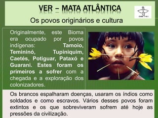 Os povos originários e cultura
Originalmente, este Bioma
era ocupado por povos
indígenas: Tamoio,
Temininó, Tupiniquim,
Caetés, Potiguar, Pataxó e
Guarani. Estes foram os
primeiros a sofrer com a
chegada e a exploração dos
colonizadores.
Os brancos espalharam doenças, usaram os índios como
soldados e como escravos. Vários desses povos foram
extintos e os que sobreviveram sofrem até hoje as
pressões da civilização.
 