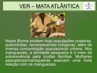 Neste Bioma existem hoje populações praieiras,
quilombolas, remanescentes indígenas, além da
imensa concentração populacional urbana. Nos
manguezais, a atividade pesqueira é o meio de
sobrevivência para muitas famílias. Mulheres
pescadoras/marisqueiras exercem uma forte
relação com os manguezais.
 