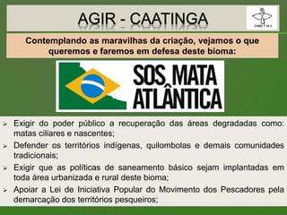 Exigir do poder público a recuperação das áreas degradadas como:
matas ciliares e nascentes;
 Defender os territórios indígenas, quilombolas e demais comunidades
tradicionais;
 Exigir que as políticas de saneamento básico sejam implantadas em
toda área urbanizada e rural deste bioma;
 Apoiar a Lei de Iniciativa Popular do Movimento dos Pescadores pela
demarcação dos territórios pesqueiros;
Contemplando as maravilhas da criação, vejamos o que
queremos e faremos em defesa deste bioma:
 