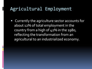 Agricultural Employment
 Currently the agriculture sector accounts for
about 12% of total employment in the
country from a high of 42% in the 1980,
reflecting the transformation from an
agricultural to an industrialized economy.
 