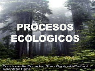 PROCESOS
ECOLOGICOS
 