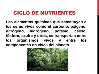 CICLO DE NUTRIENTES
Los elementos químicos que constituyen a
los seres vivos como el carbono, oxígeno,
nitrógeno, hidrógeno, potasio, calcio,
fósforo, azufre y otros, se transportan entre
los organismos vivos y entre los
componentes no vivos del planeta.
 