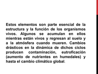 Estos elementos son parte esencial de la
estructura y la función de los organismos
vivos. Algunos se acumulan en ellos
mientras están vivos y regresan al suelo y
a la atmósfera cuando mueren. Cambios
drásticos en la dinámica de dichos ciclos
producen contaminación, eutroficación
(aumento de nutrientes en humedales) y
hasta el cambio climático global.
 