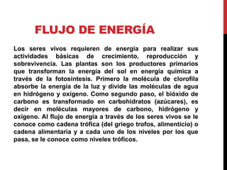 FLUJO DE ENERGÍA
Los seres vivos requieren de energía para realizar sus
actividades básicas de crecimiento, reproducción y
sobrevivencia. Las plantas son los productores primarios
que transforman la energía del sol en energía química a
través de la fotosíntesis. Primero la molécula de clorofila
absorbe la energía de la luz y divide las moléculas de agua
en hidrógeno y oxígeno. Como segundo paso, el bióxido de
carbono es transformado en carbohidratos (azúcares), es
decir en moléculas mayores de carbono, hidrógeno y
oxígeno. Al flujo de energía a través de los seres vivos se le
conoce como cadena trófica (del griego trofos, alimenticio) o
cadena alimentaria y a cada uno de los niveles por los que
pasa, se le conoce como niveles tróficos.
 