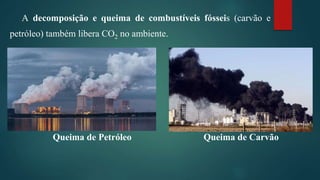 A decomposição e queima de combustíveis fósseis (carvão e
petróleo) também libera CO2 no ambiente.
Queima de Petróleo Queima de Carvão
 