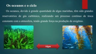 Os oceanos e o ciclo
Os oceanos, devido à grande quantidade de algas marinhas, têm sido grandes
reservatórios de gás carbônico, realizando um processo contínuo de troca
constante com a atmosfera, tendo grande força na produção de oxigênio.
Algas
 