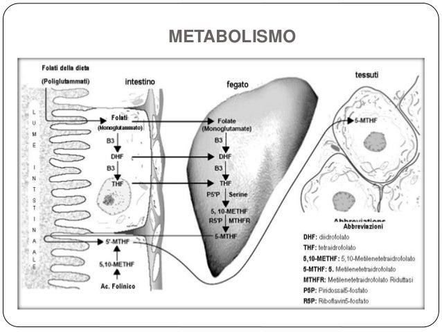 5 maneras de luchar dieta cetogénica cancer