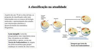 A classificação na atualidade
Lynn margulis é uma das
pesquisadoras mais importantes nessa
fase, ela pautou-se em dados
moleculares e apoiou -se em sua
Teoria da Endossimbiose de origem
da célula eucariótica para propor
mudanças no sistema de cinco reinos.
A partir dos ano 70 até os dias de hoje, as
propostas de classificação estão mais
relacionadas com os avanços da biologia
molecular, o aprimoramento dos estudos
com microscopia eletrônica o
desenvolvimento da sistemática
filogenética.
Imagem que trata da
Teoria da Endossimbiose
 