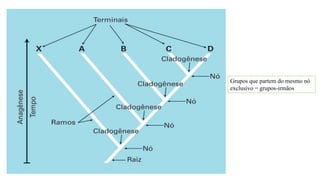 Grupos que partem do mesmo nó
exclusivo = grupos-irmãos
 