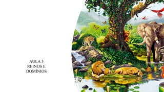 AULA 3
REINOS E
DOMÍNIOS
 