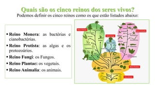 Quais são os cinco reinos dos seres vivos?
Podemos definir os cinco reinos como os que estão listados abaixo:
 Reino Monera: as bactérias e
cianobactérias.
 Reino Protista: as algas e os
protozoários.
 Reino Fungi: os Fungos.
 Reino Plantae: os vegetais.
 Reino Animalia: os animais.
 