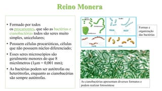 Reino Monera
• Formado por todos
os procariontes, que são as bactérias e
cianobactérias todos são seres muito
simples, unicelulares;
• Possuem células procarióticas, células
que não possuem núcleo diferenciado;
• Esses seres microscópios são
geralmente menores do que 8
micrômetros (1µm = 0,001 mm);
• As bactérias podem ser autótrofas ou
heterótrofas, enquanto as cianobacérias
são sempre autótrofas.
As cianobactérias apresentam diversos formatos e
podem realizar fotossíntese
Formas e
organização
das bactérias
 