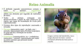 Reino Animalia
• É definido segundo características comuns a
todos os animais: organismos
eucariontes, multicelulares, heterotróficos que
obtêm seu alimento por ingestão de nutrientes
do meio;
• Todos os animais começam seu
desenvolvimento a partir de uma célula-ovo ou
zigoto, que surge da fecundação do óvulo pelo
espermatozoide;
• Existem dois tipos de reprodução: assexuada e
sexuada;
• Parazoa (parazoário; pará = ao lado, zoa =
animal): representado pelos Porifera (esponjas),
no qual não há a formação de tecidos
verdadeiros;
• Eumetazoa (eumetazoários; eu = verdadeiros,
metazoário = animal): representados por todos
os outros animais que possuem tecido
diferenciado.
Fungos e animais são heterótrofos, mas o
fungos absorvem do meio e animais
incorporam alimentos do meio (como o
esquilo).
 