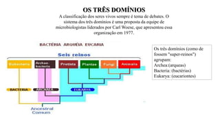 OS TRÊS DOMÍNIOS
A classificação dos seres vivos sempre é tema de debates. O
sistema dos três domínios é uma proposta da equipe de
microbiologistas liderados por Carl Woese, que apresentou essa
organização em 1977.
Os três domínios (como de
fossem "super-reinos")
agrupam:
Archea:(arqueas)
Bacteria: (bactérias)
Eukarya: (eucariontes)
 