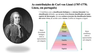 As contribuições de Carl von Linné (1707-1778;
Lineu, em português)
• Contribuiu com a classificação biológica e o sistema binomial. Sua
classificação defendia que os seres vivos fossem classificados em uma
espécie de hierarquia, em uma ordem crescente da classificação básica
dos seres vivos, de acordo com o taxon. Confira as imagens a seguir:
 