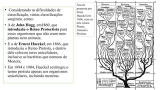 • Considerando as dificuldades de
classificação, várias classificações
surgiram, como:
• A de John Hogg, em1860, que
introduziu o Reino Protoctista para
esses organismos que não eram nem
plantas nem animais;
• E a de Ernest Haeckel, em 1866, que
introduziu o Reino Protista, e dentro
dele colocou seres unicelulares,
inclusive as bactérias que nomeou de
Monera;
• Em 1894 e 1904, Haeckel restringiu o
termo protista apenas aos organismos
unicelulares, incluindo moneras.
Árvore
proposta por
Ernst
Haeckel em
1866, com os
três reinos:
Planta,
Animal e
Protista.
 