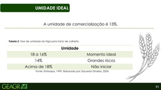 11
UMIDADE IDEAL
Umidade
18 a 16% Momento ideal
14% Grandes riscos
Acima de 18% Não iniciar
Fonte: Embrapa, 1999. Elaborado por: Eduarda Ornelas, 2024.
A umidade de comercialização é 13%.
Tabela 2. Teor de umidade do trigo para início de colheita.
 