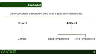 12
SECAGEM
Deve considerar a secagem para levar o grão a umidade ideal.
Natural
Campo
Artificial
Baixa temperatura Alta temperatura
 